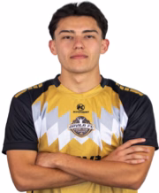 Tomás Eduardo Bulnes Inostroza